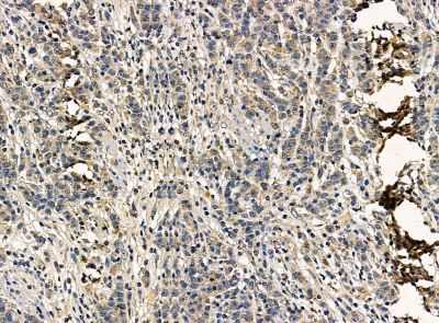 Валидация Affinity DF14463 - 10439