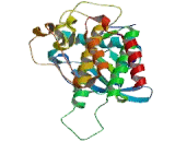 Fibroblast Growth Factor Receptor 2 (FGFR2) Fibroblast Growth Factor Receptor 2 (FGFR2)