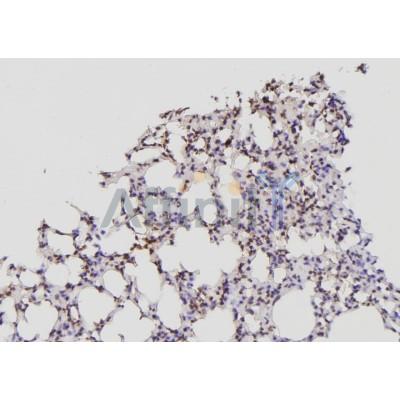 Валидация Affinity DF6178 - 17425