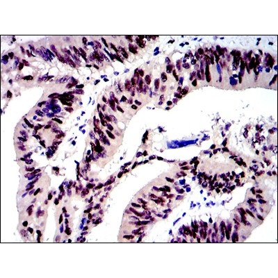 Валидация Affinity BF0245 - 5194