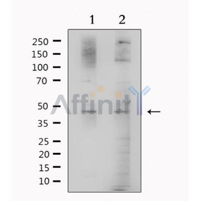 Валидация Affinity DF6348 - 17692