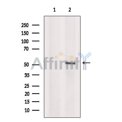 Валидация Affinity DF7369 - 19093
