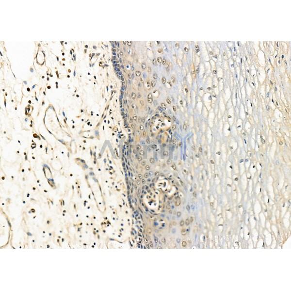 Валидация Affinity DF8368 - 20234