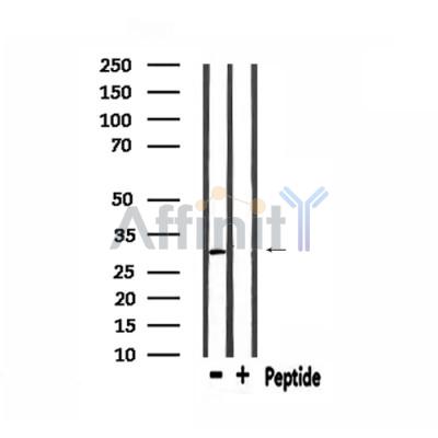 Валидация Affinity DF3192 - 14006