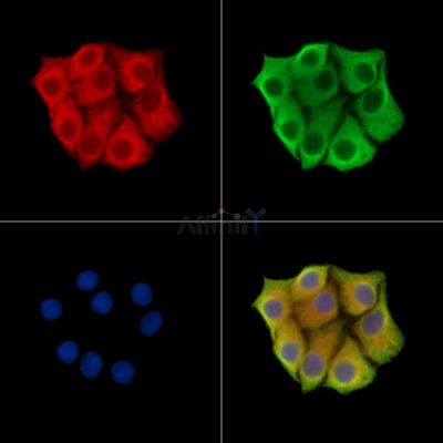 Валидация Affinity DF14783 - 10878