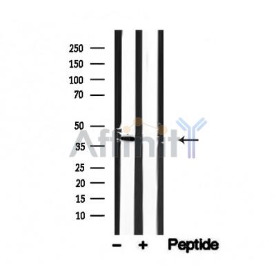 Валидация Affinity AF4740 - 2359