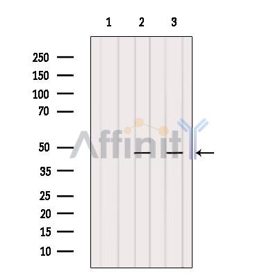 Валидация Affinity DF6928 - 18532
