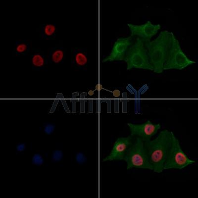 Валидация Affinity AF4361 - 2200