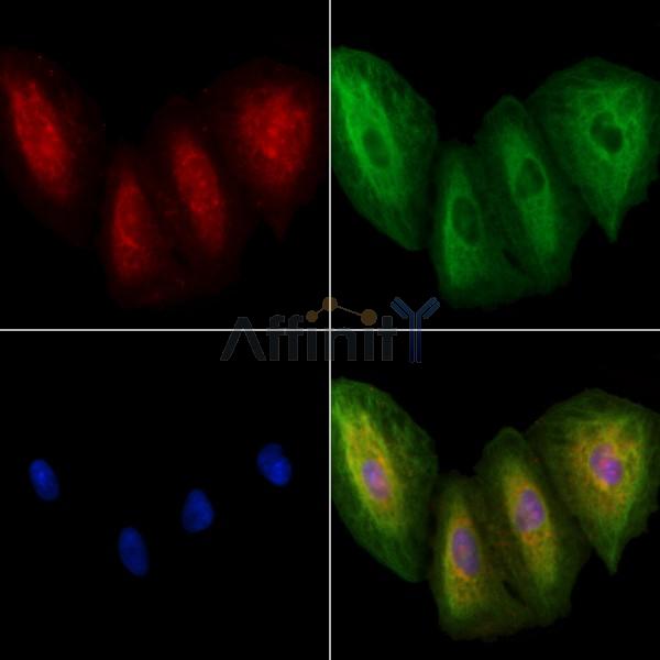 Валидация Affinity DF8510 - 20372