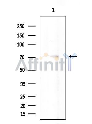 Валидация Affinity DF6396 - 17759