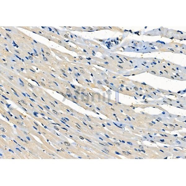 Валидация Affinity DF7891 - 19715