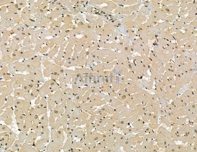 Валидация Affinity DF15979 - 12510