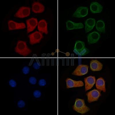 Валидация Affinity DF9639 - 22372