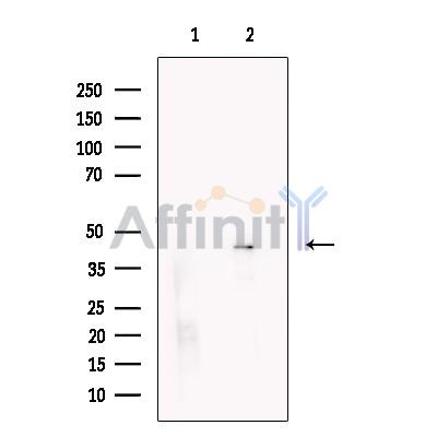 Валидация Affinity DF13591 - 9072