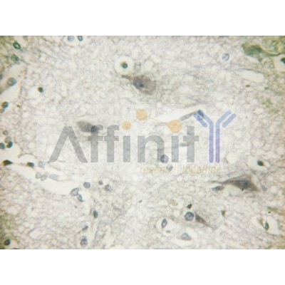 Валидация Affinity AF6443 - 3757