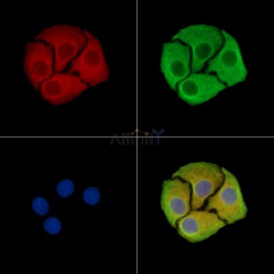 Валидация Affinity DF15158 - 11426