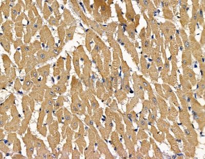 Валидация Affinity DF14136 - 9934