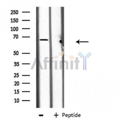 Валидация Affinity DF3895 - 15062