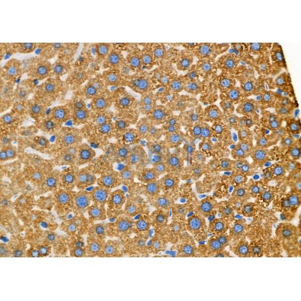 Валидация Affinity DF9236 - 21656