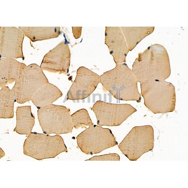 Валидация Affinity DF3072 - 13808