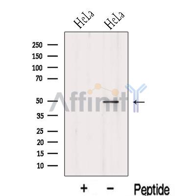 Валидация Affinity DF13116 - 8022