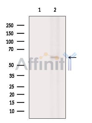 Валидация Affinity DF15861 - 12368