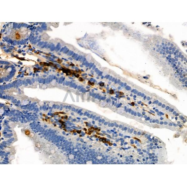 Валидация Affinity AF3973 - 2098