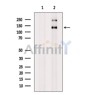 Валидация Affinity DF12489 - 7059