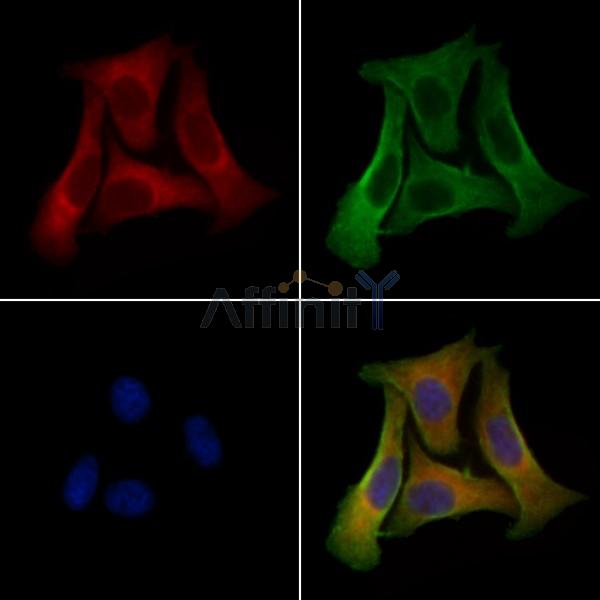 Валидация Affinity DF3500 - 14422