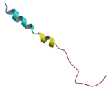 Integrin Beta 6 (ITGb6) Integrin Beta 6 (ITGb6)