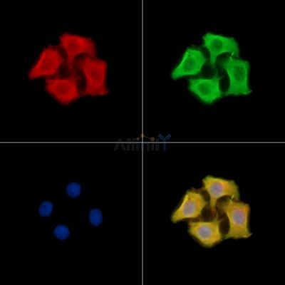 Валидация Affinity DF13963 - 9715