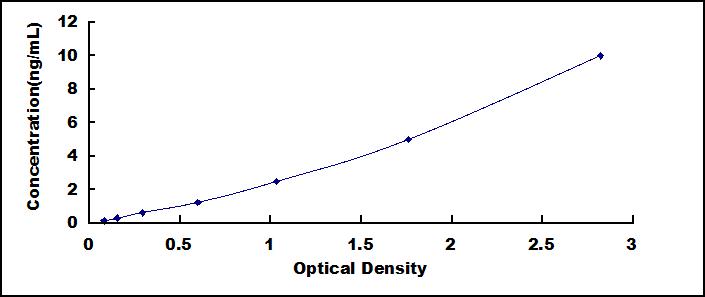 56491