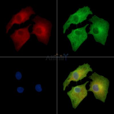 Валидация Affinity DF14348 - 10255