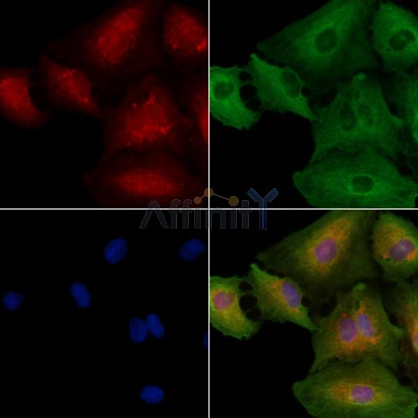 Валидация Affinity DF2551 - 13215