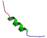 Integrin Beta 5 (ITGb5) Integrin Beta 5 (ITGb5)
