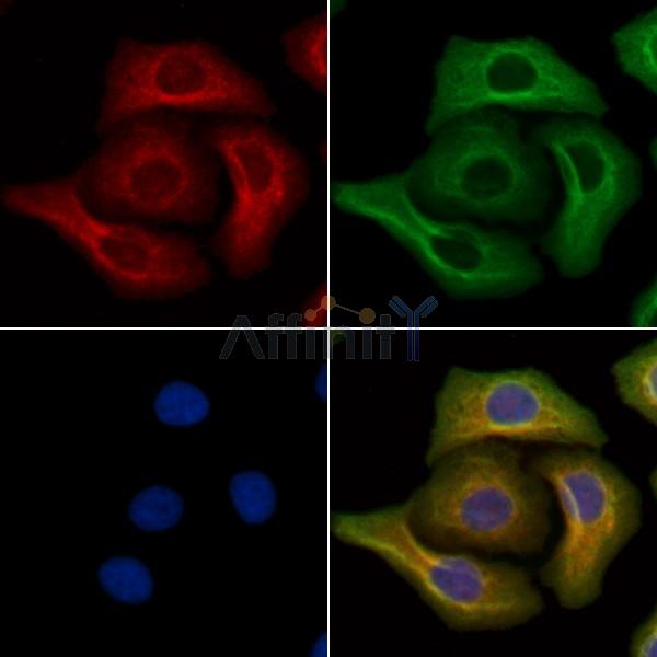 Валидация Affinity AF9086 - 4854