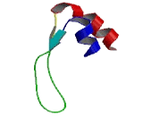 Fracture Callus Protein 1(FXC1)