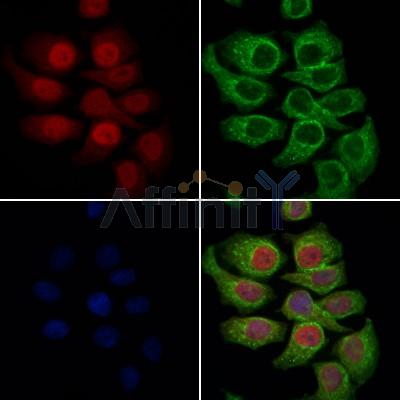 Валидация Affinity DF6534 - 17961