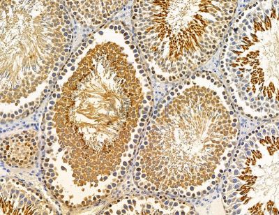 Валидация Affinity DF14730 - 10804