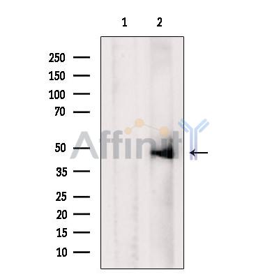 Валидация Affinity DF7664 - 19431