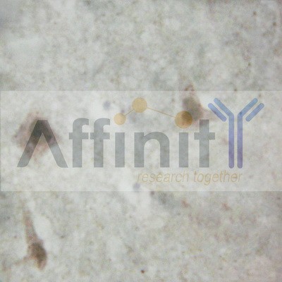 Валидация Affinity AF6330 - 3603