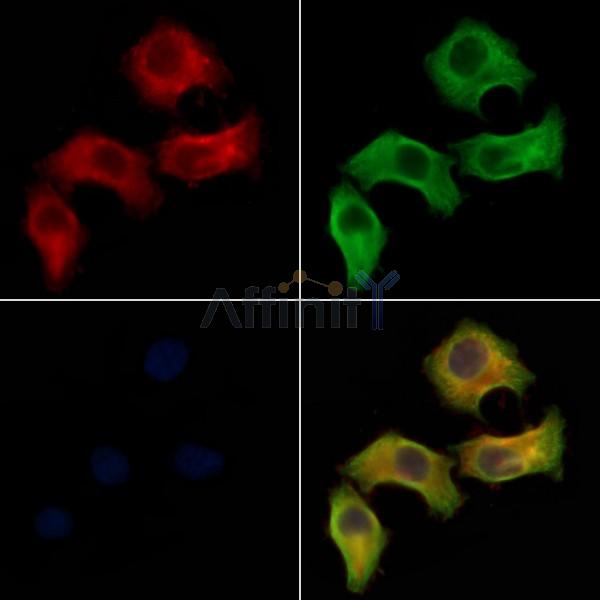 Валидация Affinity DF8565 - 20464