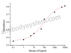 Валидация активности AntibodySystem AMD08001