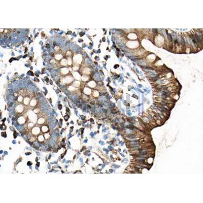 Валидация Affinity AF5221 - 2691