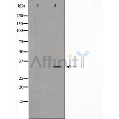 Валидация Affinity AF5388 - 3023