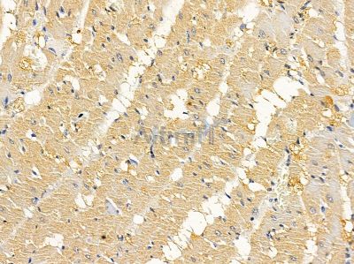 Валидация Affinity DF9137 - 21468