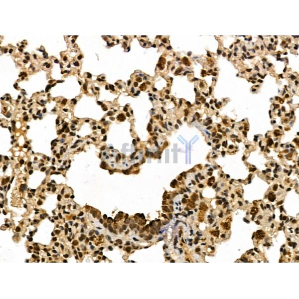 Валидация Affinity DF13143 - 8089