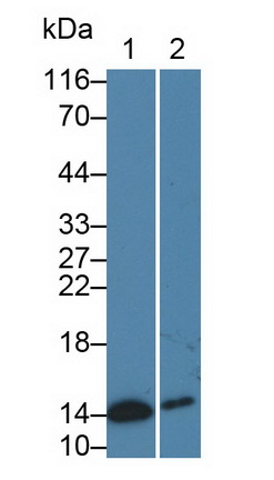 27587
