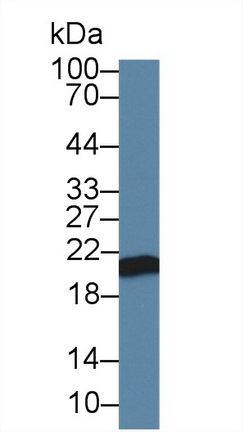 10361