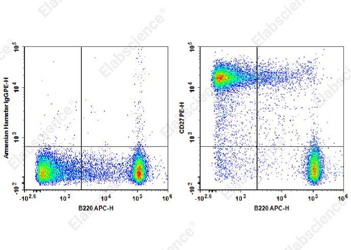 Валидация Elabscience AN00322D